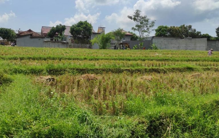 DPUPR Batang Buka Kesempatan Penetapan Lahan Sawah yang Dilindungi
