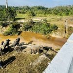 Presiden Tekankan Pembangunan Infrastruktur Harus Ramah Lingkungan