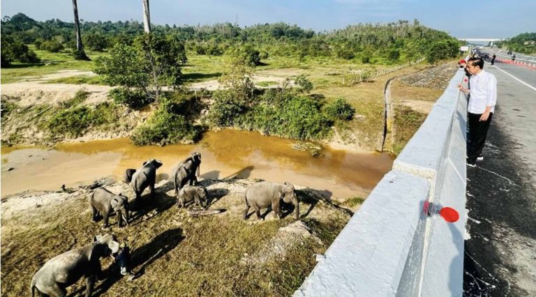Presiden Tekankan Pembangunan Infrastruktur Harus Ramah Lingkungan