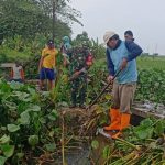 Hindari Banjir, Warga Bersihkan Eceng Gondok di Permukaan Sungai Tuntang