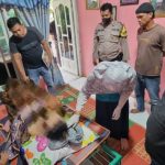 Pergi ke Sawah saat Hujan, Seorang Lansia Tewas Tersambar Petir