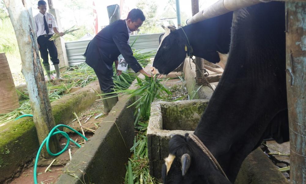 Batang Kali Pertama Punya SMK dengan Jurusan Agribisnis Ruminansia