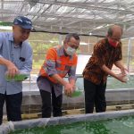 Budidaya Mikroalga, Terobosan Inovasi Dekarbonisasi di Lingkungan Operasional Pabrik