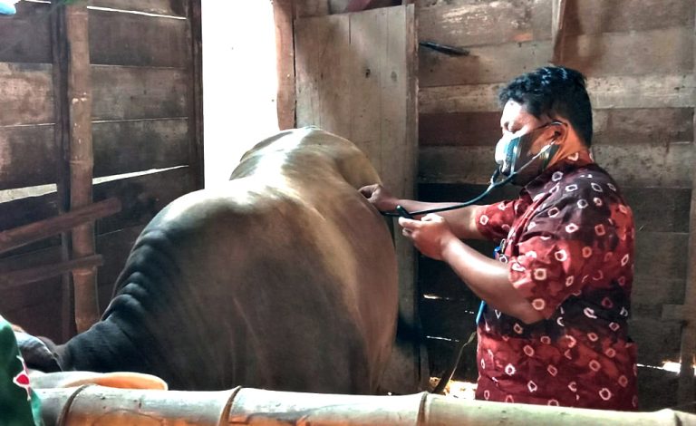 Pasar Hewan Ditutup, Penanganan Wabah PMK Disosialisasikan di Tiap Kecamatan