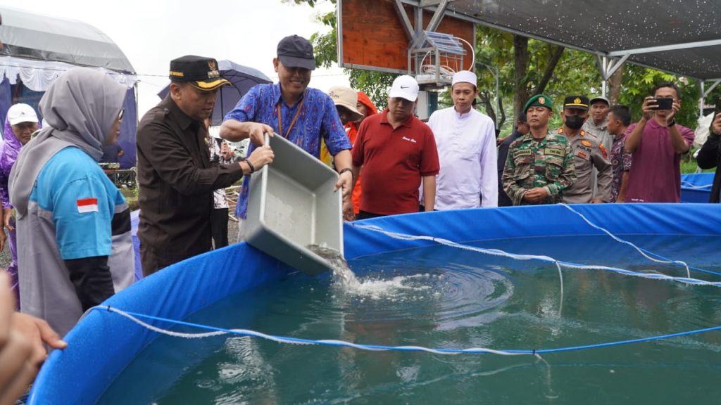 Serahkan Bantuan Bioflok, Edy Supriyanta Dorong Kolaborasi Budidaya Lele dan Kuliner
