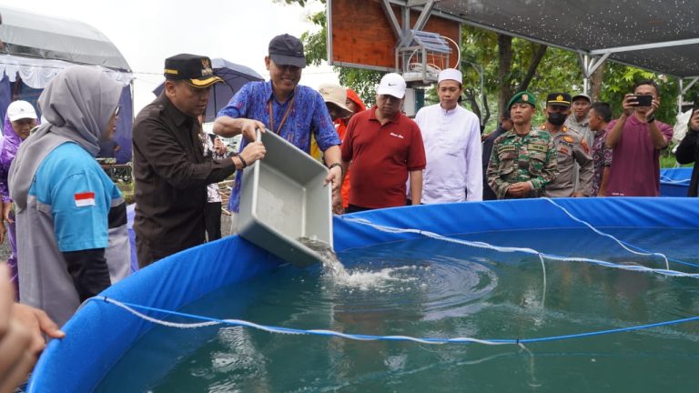 Serahkan Bantuan Bioflok, Edy Supriyanta Dorong Kolaborasi Budidaya Lele dan Kuliner