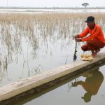 Gagal Panen, Pemprov Serahkan Asuransi Usaha Tani Padi Buat Petani