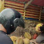 Hadirkan Lebih Inovatif, Pasar Tani Makin Menarik Animo Pengunjung