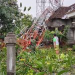 Pohon dan Tower Tumbang, Putting Beliung Terjang Empat Desa di Kecamatan Bulu
