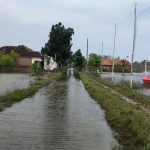 Di Desa Prampelan Banjir Belum Surut, Ribuan Warga Masih Mengungsi
