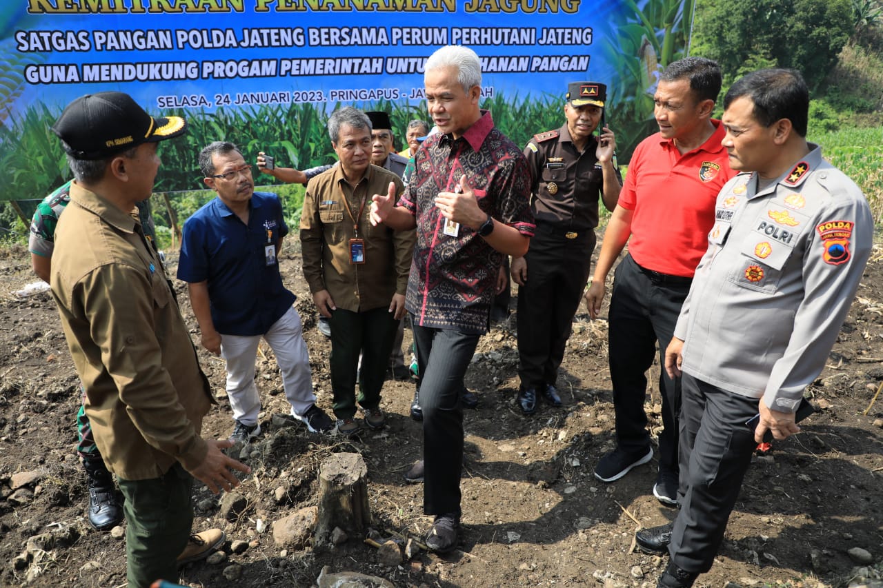Gubernur: Pemanfaatan Hutan Harus Perhatikan Pohon Penahan Air