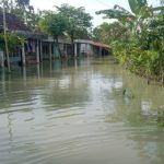 Banjir di Pantura Jawa Tengah, Sebagian Masih Bertahan