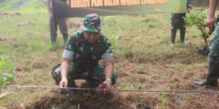 Kodim 0718/Pati Bersama Dinas Kehutanan Jateng Tanam Seribu Pohon