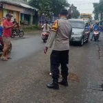 Seorang Pengendara Motor Tewas Terlindas Bus