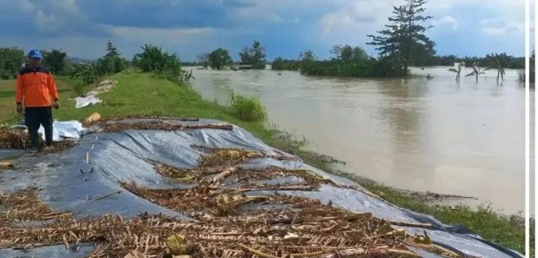 Debit Sempat Naik, Tanggul Sungai Wulan Ditinggikan