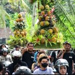 Grebeg Gunungan Durian, Ribuan Warga Padati Festival Tandurian Bojong