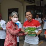 Tekan Inflasi, Pemkab Cilacap Canangkan Gerakan Tanam Cabai