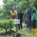 Peringati HUT ke 30, Perumda Tirta Mulia Tanam 1.000 Pohon