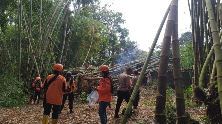 BPBD Tangani Dampak Bencana Hidrometeorologi di Borobudur