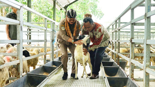 Kementan Dorong Daerah Kembangkan Model Closed-Loop Peternakan