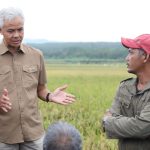 Ganjar Dorong Perbaikan Sistem Pengelolaan Hasil Panen dan Beras