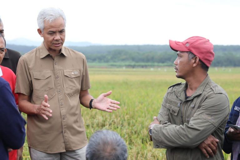 Ganjar Dorong Perbaikan Sistem Pengelolaan Hasil Panen dan Beras