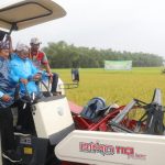 Panen Raya Padi di Lamongan Capai 7,3 Ton Per Hektar