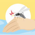 Kasus DBD di Demak Menurun, Warga Tetap Diminta Waspada