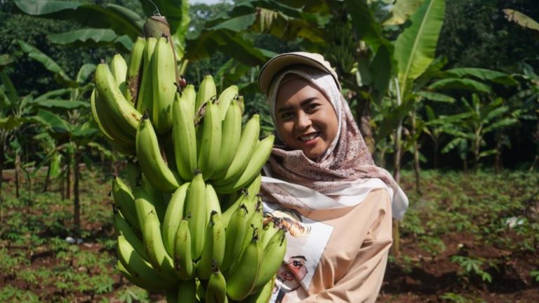 Kembangkan Pisang, Petani Milenial Raih Banyak Benefit