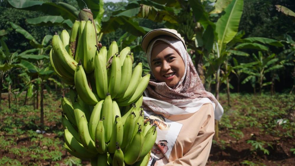 Kembangkan Pisang, Petani Milenial Raih Banyak Benefit