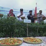 Sukseskan GNPIP, Desa Tlogolele Panen Cabai Bersama