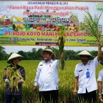 Hasil Panen Lebih Bagus, Petani Desa Tanjung Gunakan Pupuk Organik