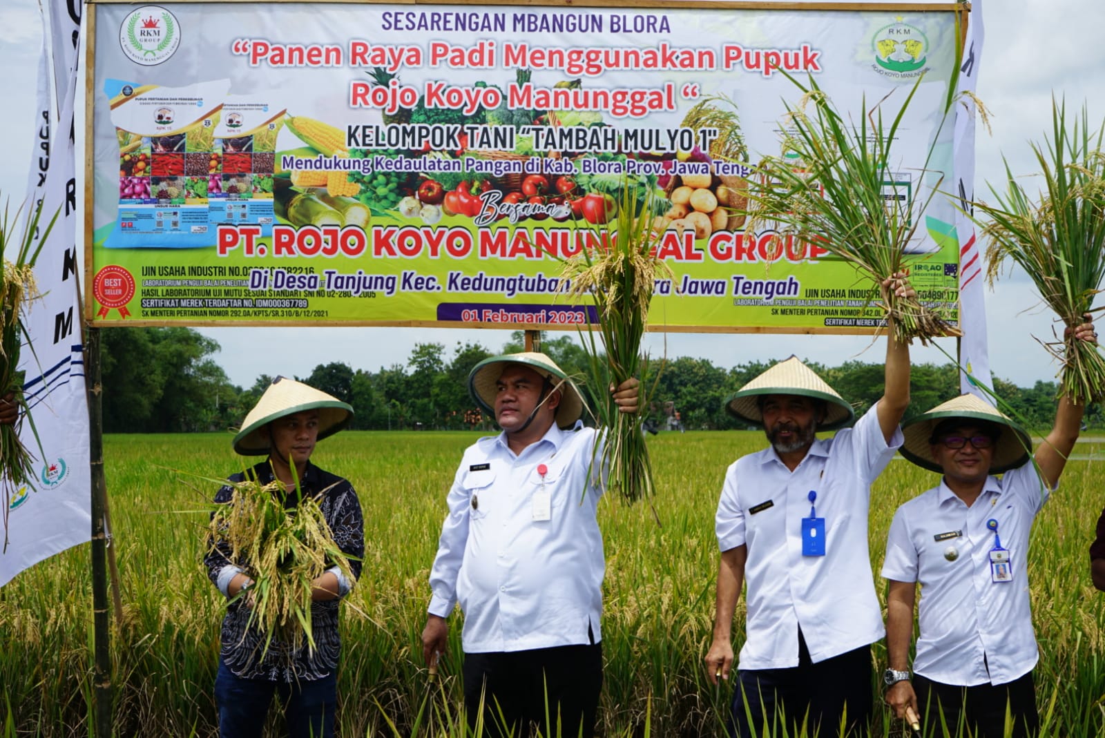 Hasil Panen Lebih Bagus, Petani Desa Tanjung Gunakan Pupuk Organik