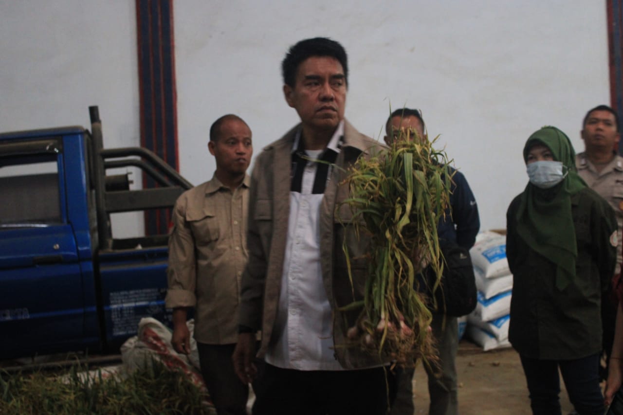 Stok Bawang Merah dan Putih Dijamin Aman Hingga Lebaran