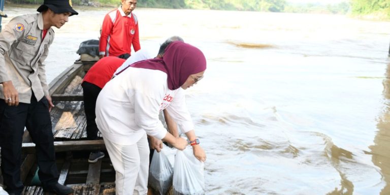 Seimbangkan Ekosistem, 5 Ribu Benih Ikan Ditebar di Kali Klawing
