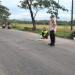 Ibu dan Balita Tewas Dalam Insiden Laka Lantas di Pamotan