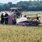 Gunakan Combine Harvester, Mentan SYL Panen Padi di Bancak