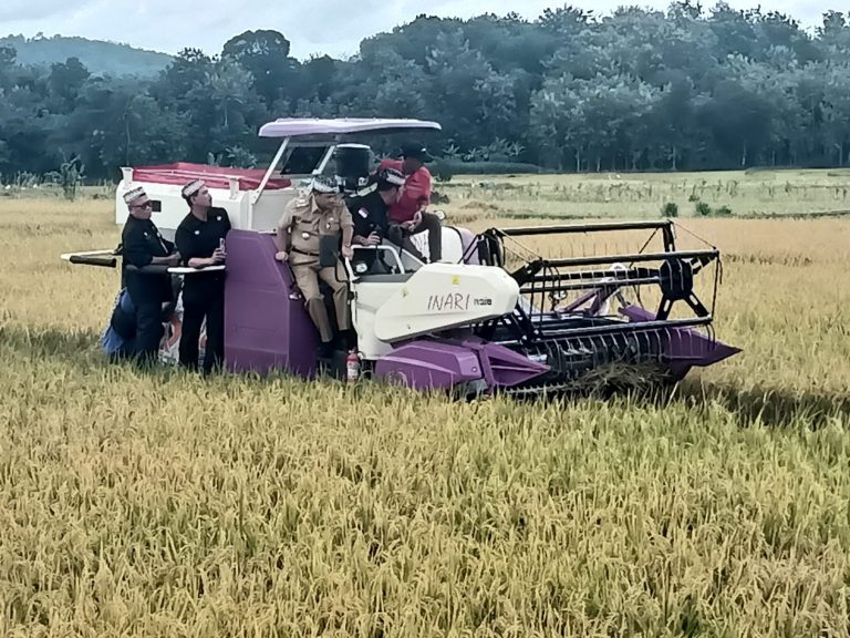 Gunakan Combine Harvester, Mentan SYL Panen Padi di Bancak