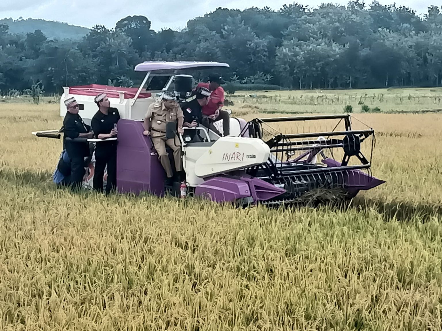 Gunakan Combine Harvester, Mentan SYL Panen Padi di Bancak