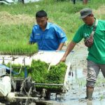 Tarik Minat Bertani, Pemkab Ajak Pelajar Ikuti Panen Raya
