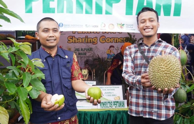 Alpukat AWE asal Wonotonggal Juara Kontes Festival Buah Nusantara