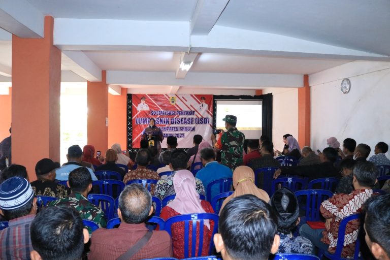Hingga Akhir Januari 2023, Ratusan Ekor Sapi Terkonfirmasi LSD