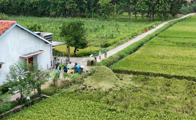 Bantuan Gubernur untuk Irigasi, Petani Bisa Panen Melimpah