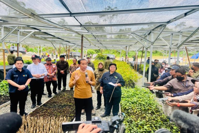 Tinjau Persemaian Mentawir, Presiden: Komitmen Pemerintah Terhadap Lingkungan Dimulai dari Sini