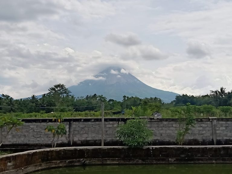 Selama Sepekan, Gunung Merapi 11 Kali Luncurkan Guguran Lava