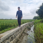 Dibantu Jalan dan Irigasi, Warga Sijono Makin Produktif