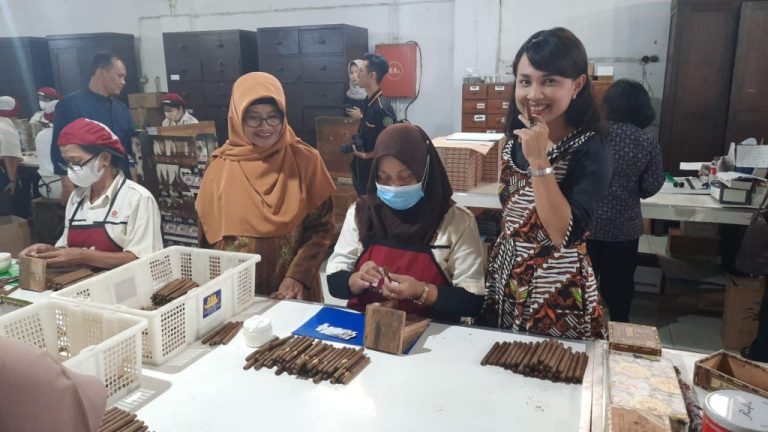 Layak Ditiru, Industri Cerutu Jogja, Dorong Pertumbuhan Ekonomi 