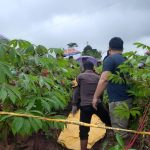 Wanita Pekerja Pabrik di Batang Ditemukan Tewas di Kebun Singkong