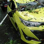 Tiga Pohon Tumbang, Timpa Mobil Seisi Keluarga