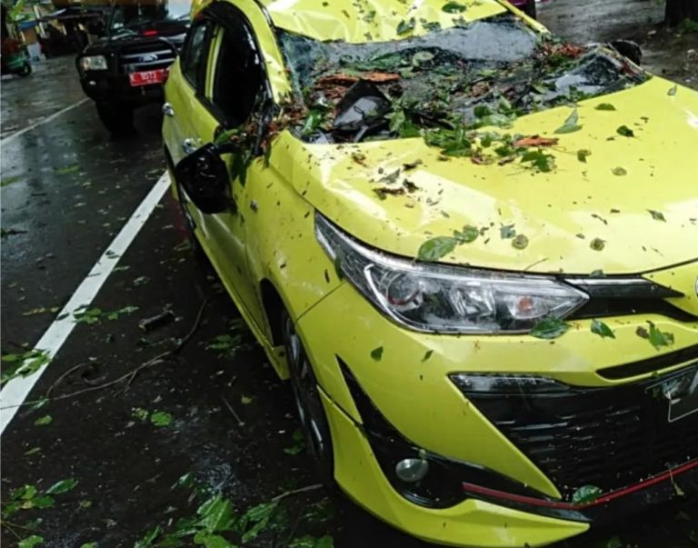 Tiga Pohon Tumbang, Timpa Mobil Seisi Keluarga